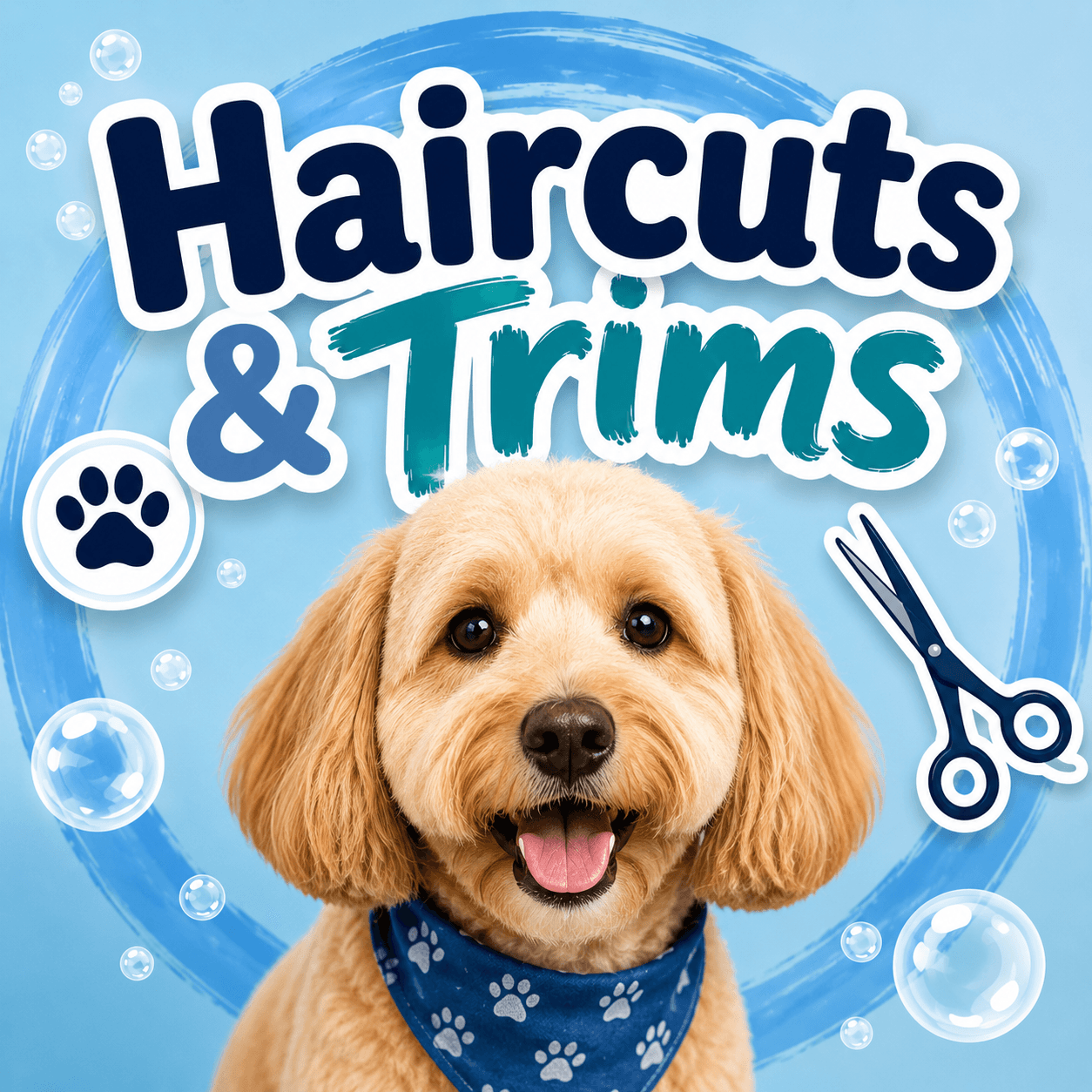 Haircuts & Trims